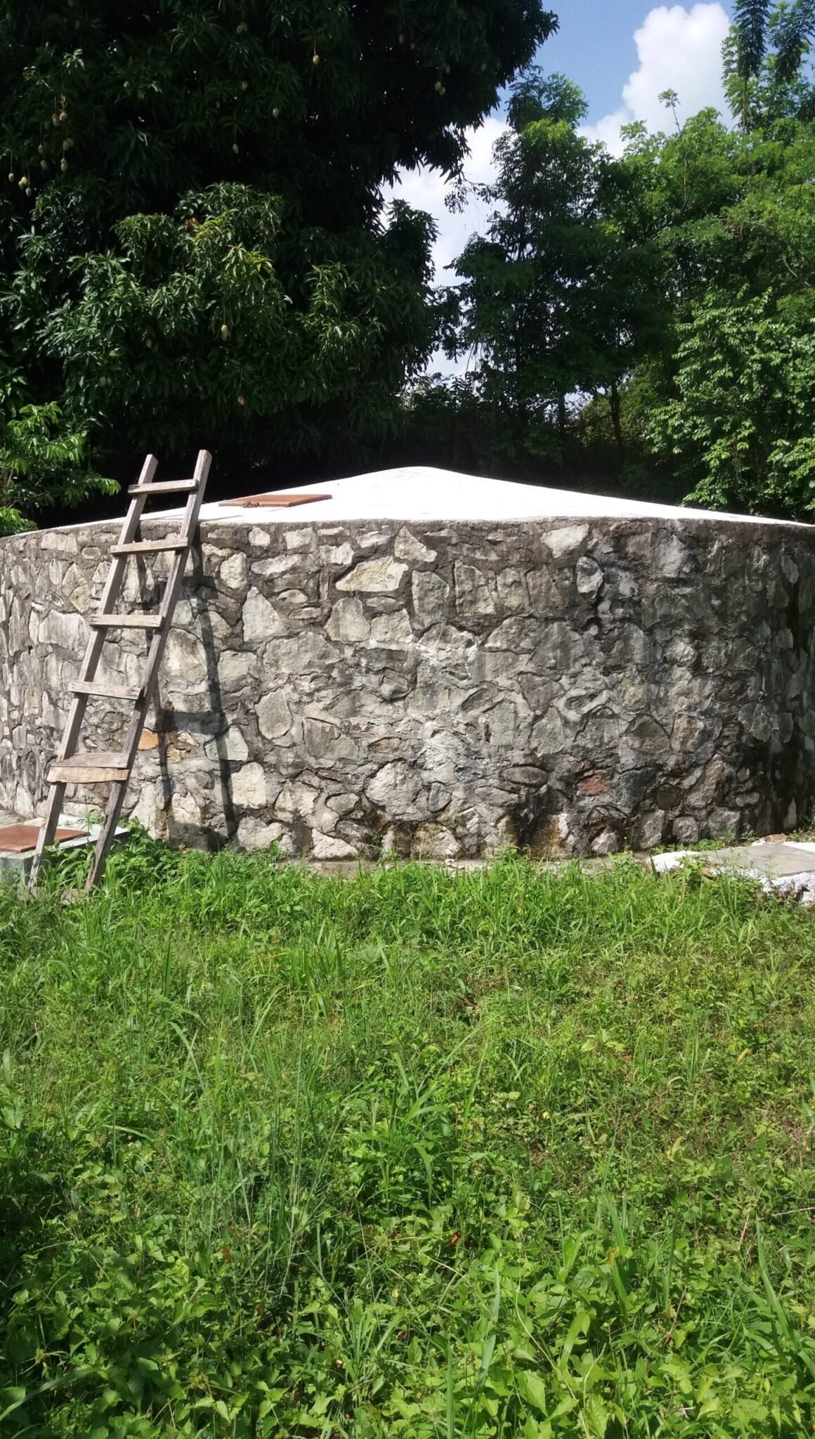 Servidores Mundiales